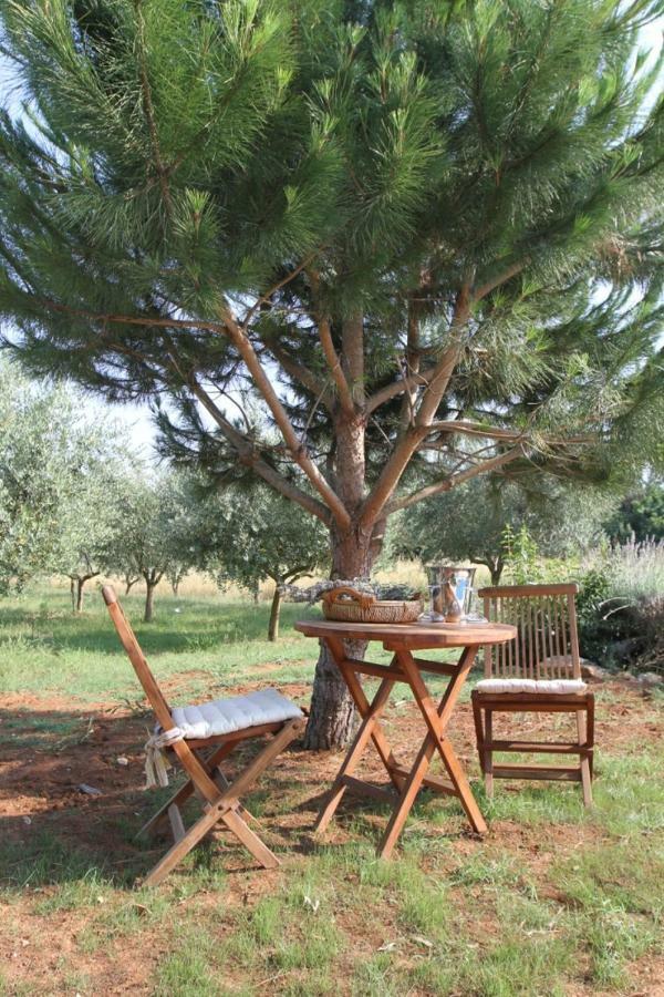 فيلا Premantura Olive Garden المظهر الخارجي الصورة