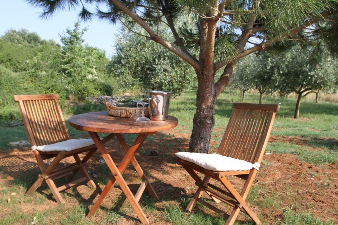 فيلا Premantura Olive Garden المظهر الخارجي الصورة