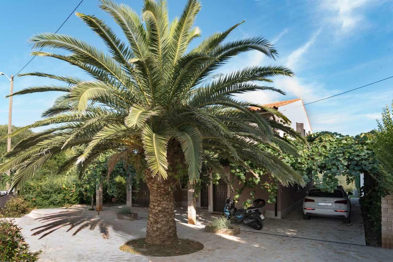 فيلا Premantura Olive Garden المظهر الخارجي الصورة